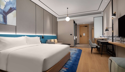 Room, 1 King Bed