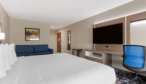 Room, 1 King Bed, Accessible, Non Smoking (Roll-in shower)