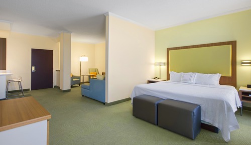 Suite, 1 King Bed
