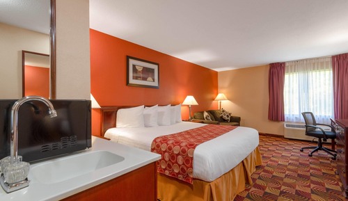 Deluxe Room, 1 King Bed, Non Smoking