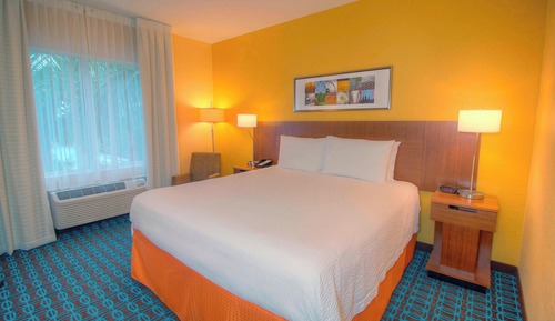 Room, 1 King Bed