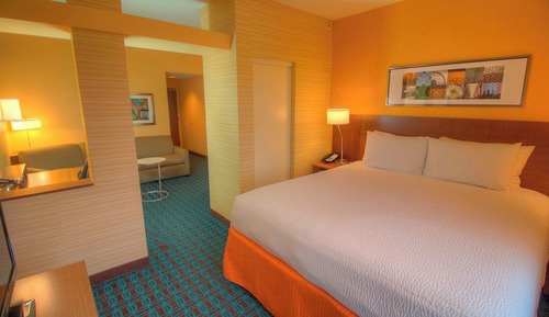 Executive Studio, 1 King Bed with Sofa bed