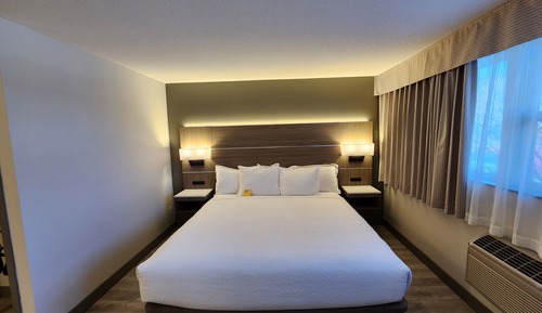 Room, 1 King Bed, Non Smoking, Mountain View