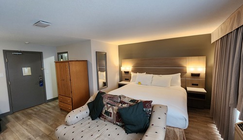 Deluxe Studio Suite, 1 King Bed, Non Smoking, Pool View