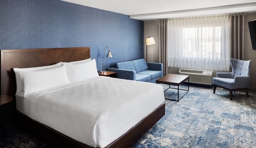 Studio Suite, 1 King Bed with Sofa bed