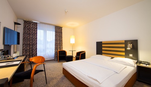 Room, 1 King Bed