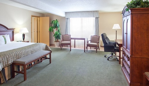 Standard Room, 1 King Bed, Accessible (Communications)