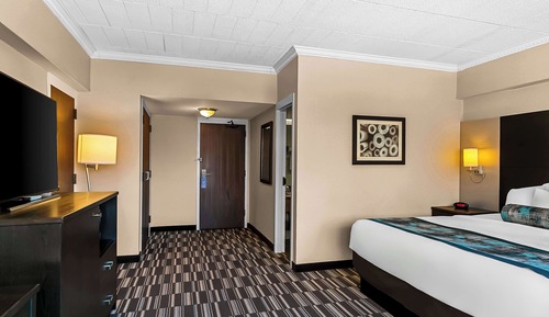 Standard Room, 1 Queen Bed, Non Smoking, Refrigerator (Pet Friendly)