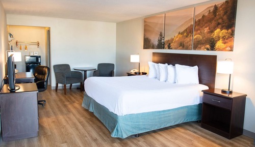 Room, 1 King Bed, Mobility Accessible, Non Smoking (Bathtub w/ Grab Bars)