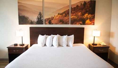 Superior Room, 1 King Bed, Non Smoking