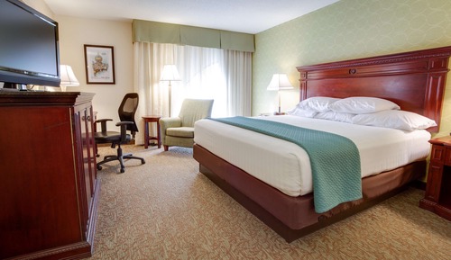 Deluxe Room, 1 King Bed, Accessible, Refrigerator & Microwave (Tub)