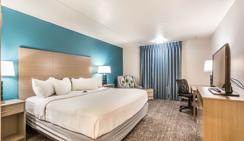 Studio Suite, 1 King Bed, Non Smoking