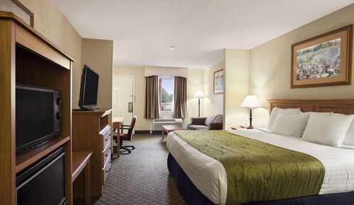 Business Room, 1 King Bed