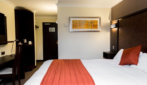 Standard Double Room