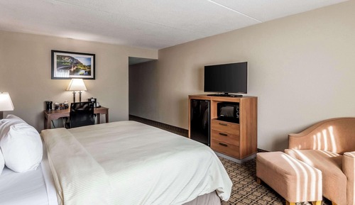 Standard Room, 1 King Bed, Non Smoking