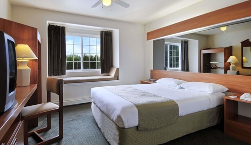 Suite, 1 Bedroom, Accessible