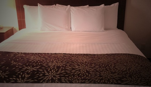 Room, 1 King Bed, Non Smoking