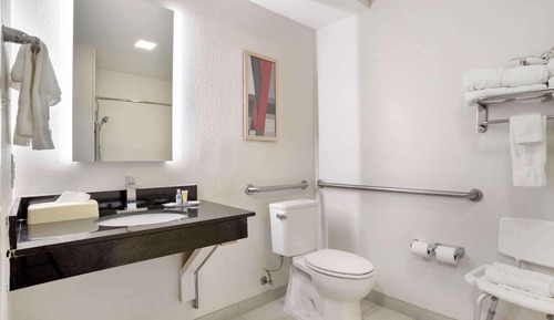 Room, 1 Double Bed, Accessible, Non Smoking