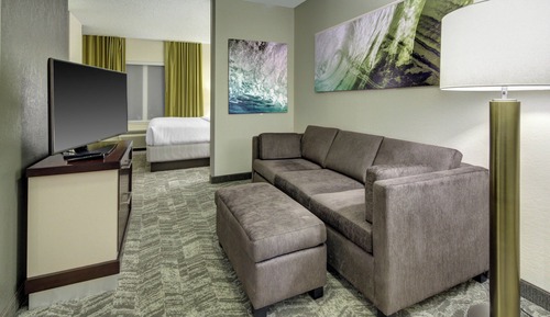 Suite, Multiple Beds (Mobility/Hearing Access, Roll-In Shwr)