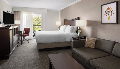 Premium Room, 1 King Bed with Sofa bed, Pool View