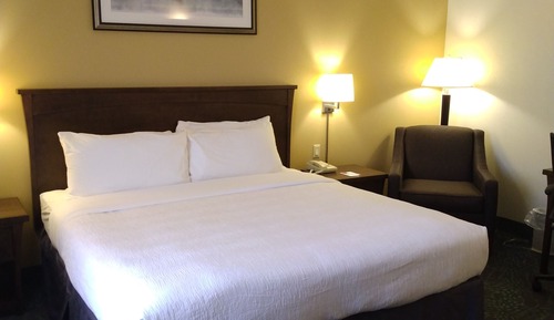 Standard Room, 1 King Bed, Accessible, Non Smoking (Mobility Accessible)
