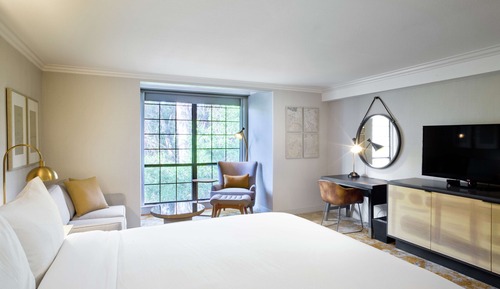 Room, 1 King Bed