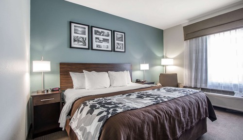 Room, 1 King Bed, Accessible, Non Smoking