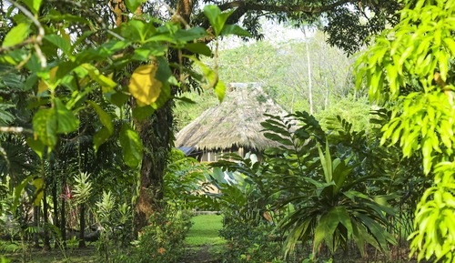Deluxe Bungalow, Garden Area