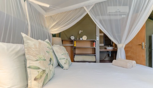 Safari Tent