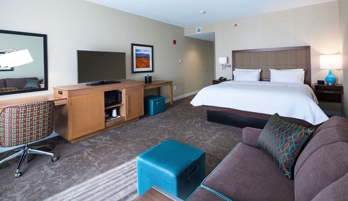 Room, 1 King Bed with Sofa bed, Non Smoking, Refrigerator