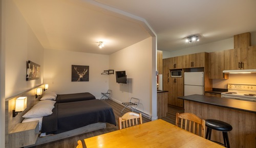 Standard Apartment, 2 Double Beds, Kitchen