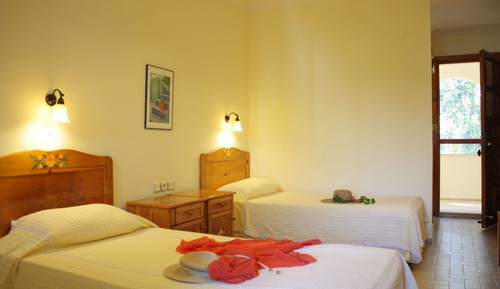 Basic Double or Twin Room