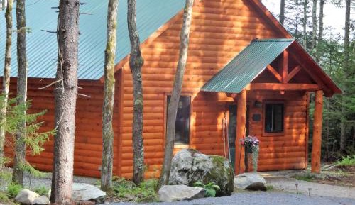 Cabin #3 - Blackberry Bend with Mountain View (Non-Pet Friendly)