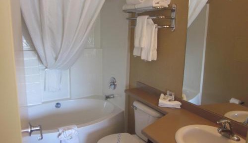 Studio Suite King Bed