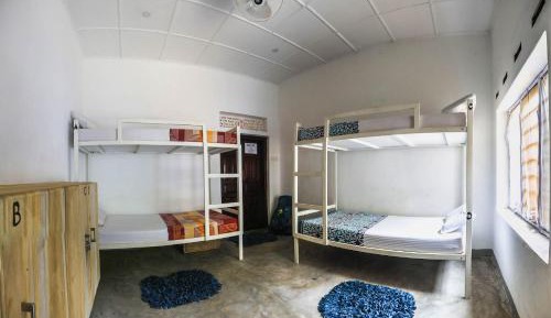 Bed in 4-Bed Mixed Dormitory Room