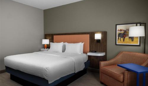 King Room with King Bed - Non-Smoking
