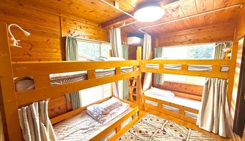 Single Bed in 4-Bed Dormitory Room