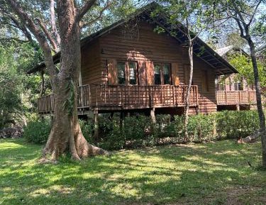 Tree Cottage