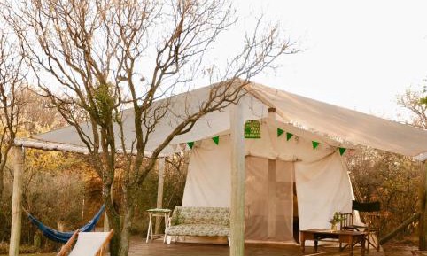 Tent
