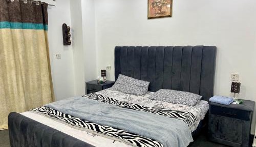 Deluxe One-Bedroom Apartment