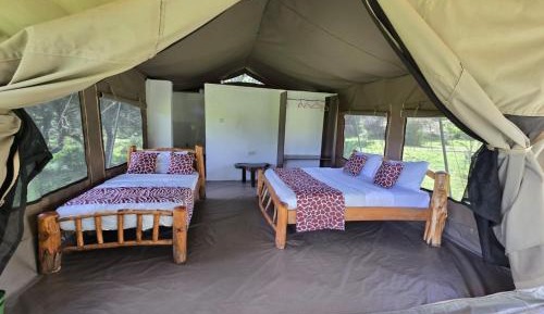 Tent