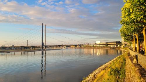 One-Bedroom Family Apartment