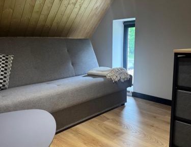 Studio with Garden View