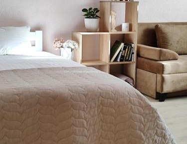 One-Bedroom Loft Apartment with One Queen Bed