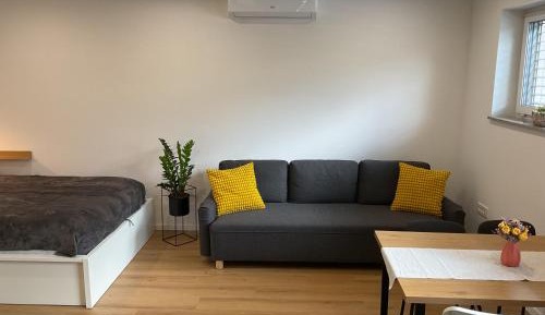 Studio with Terrace