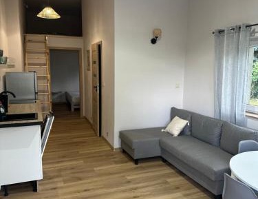 Suite Apartment