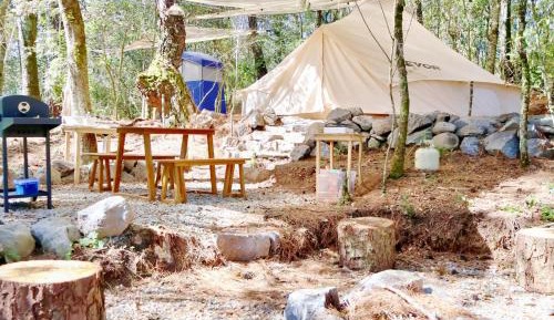 Tent