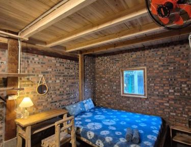 King Room with Garden View