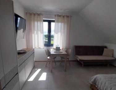 Large Double or Twin Room