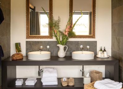 Deluxe Double or Twin Room with Lake View